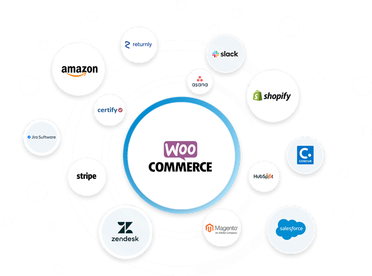 Modern Website & eCommerce Design Service
